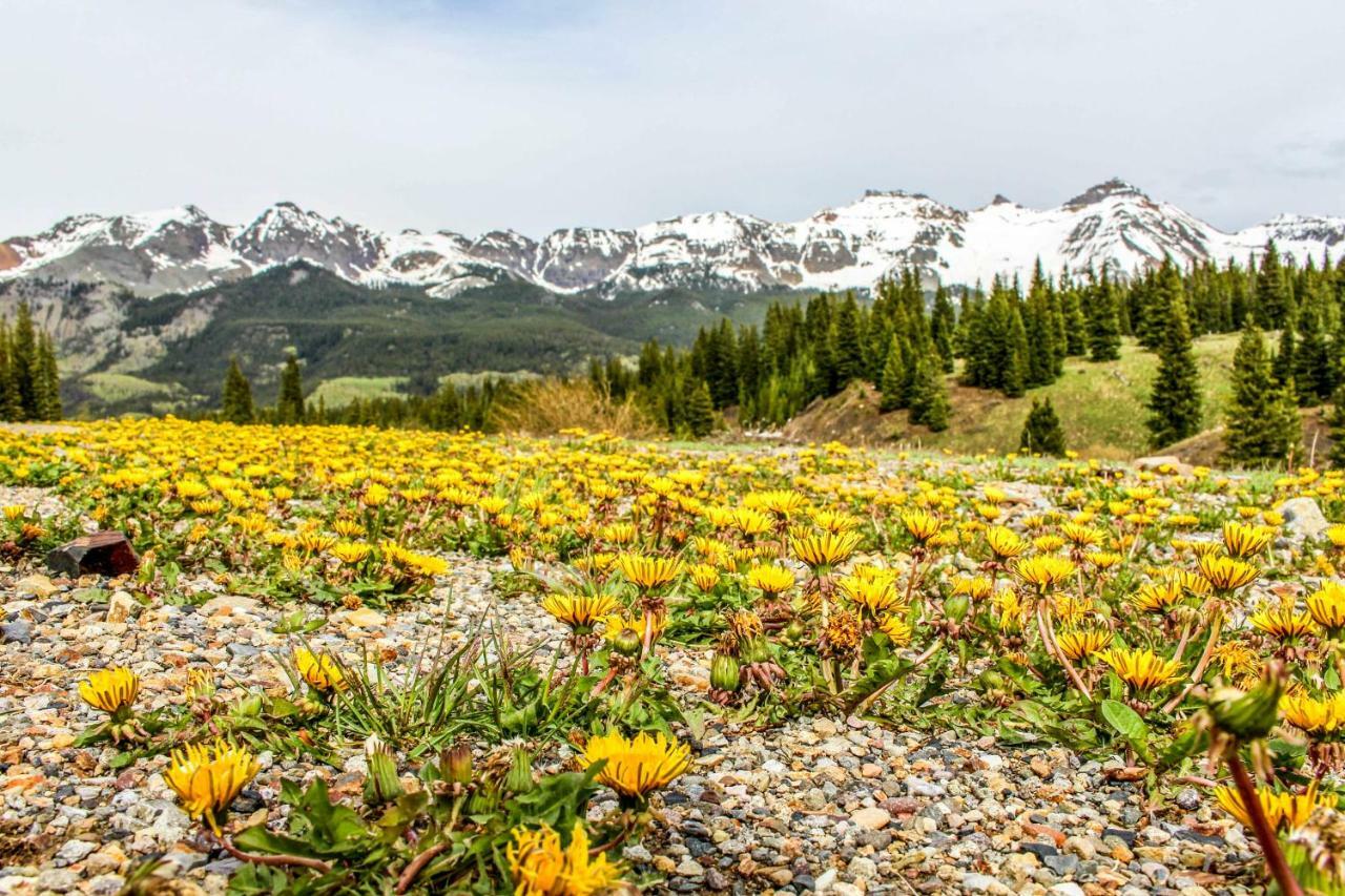 Rocky Mountain Lookout Hotell Telluride Eksteriør bilde